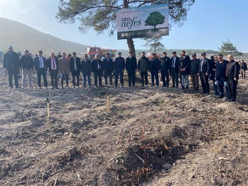  Milli Ağaçlandırma Günü